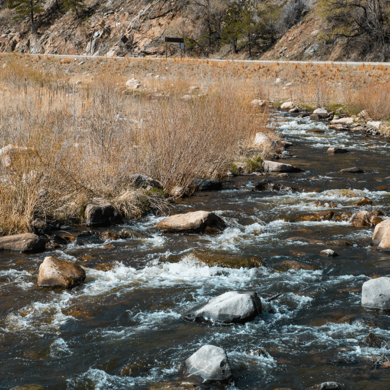 Shallow stream with rocks and rapids flows near tall grass, road.